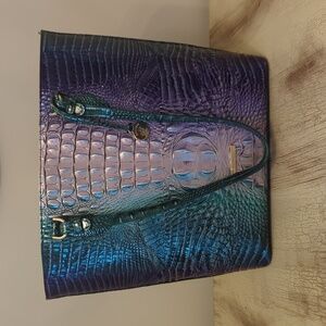 Brahmin Ellen tote Enchant